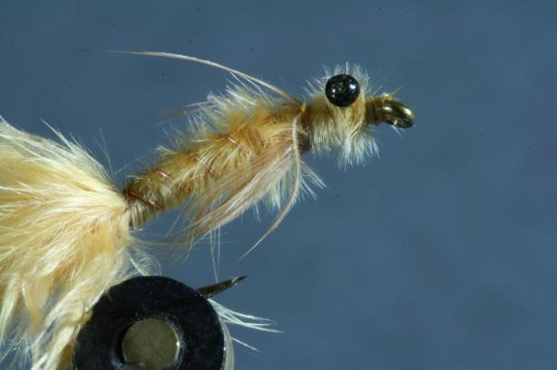 Georgi's B.C. Damsel~G. Muncy