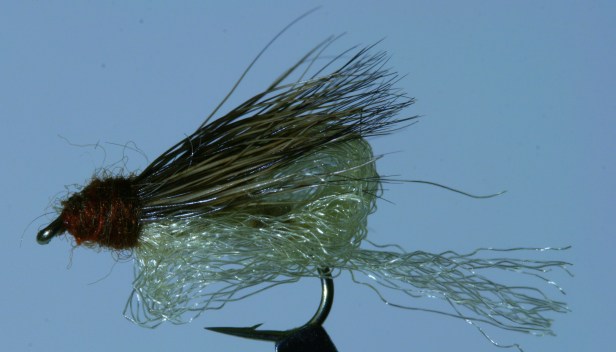 Emergent Sparkle Pupa ~ G. Muncy