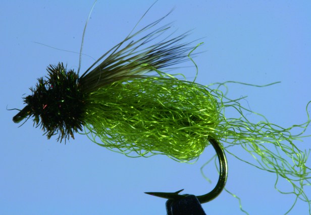 Emergent Sparkle Pupa ~ G. Muncy