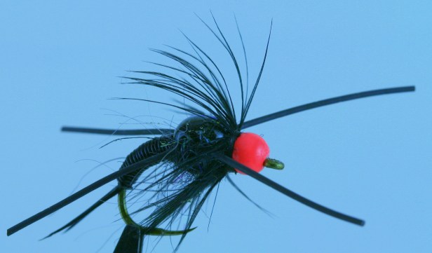 img_9758aa img_9758aa