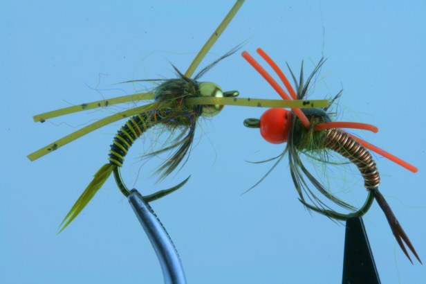 img_9783a Copper Swan (Gold & Orange)