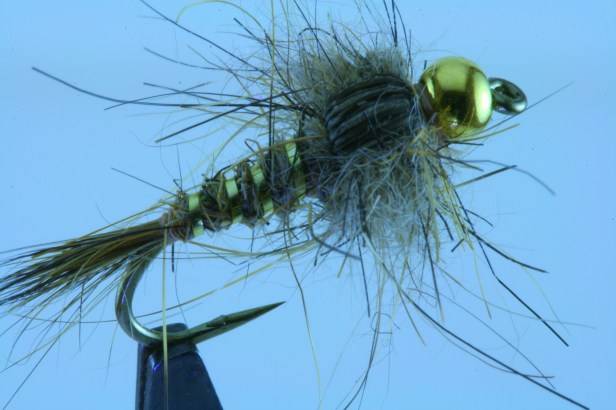 img_9807a Hippy Hare's Ear by G. Muncy