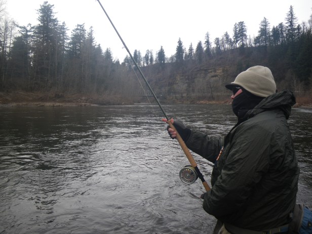 imgp0403a Perfect Finish