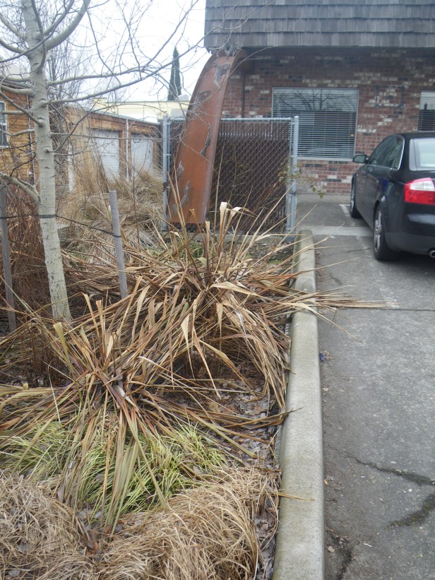 Runoff into green zone repository