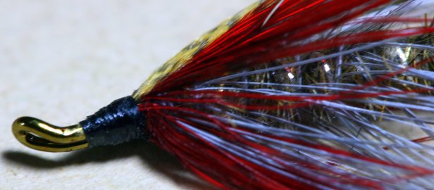 Lady Caroline~T. Muncy