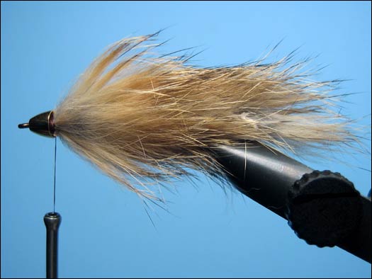 Bunny Leech by Wills Mullis