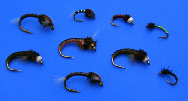 Typical Midge Pupa's by SwittersB