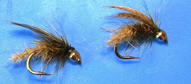 Harriet Diving Caddis~SwittersB