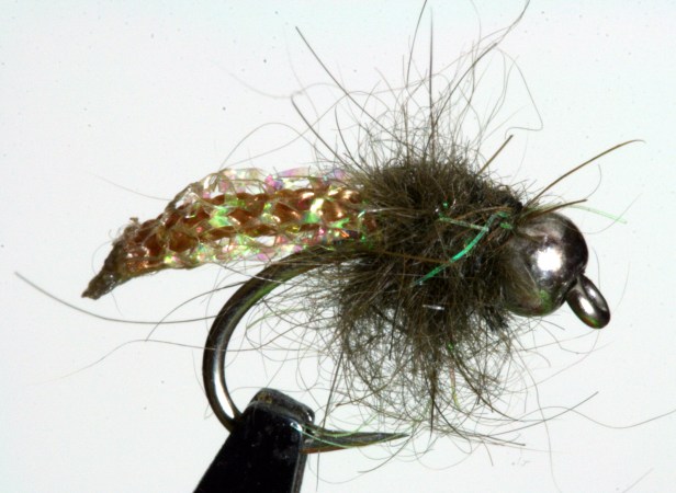 Caddis Pupa, Tan~SwittersB