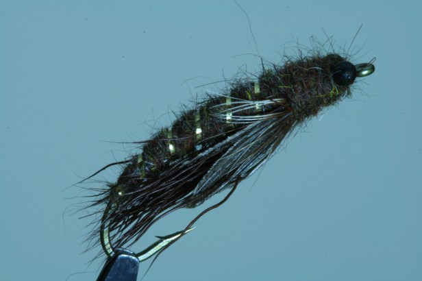 Caddis Emerger~SwittersB