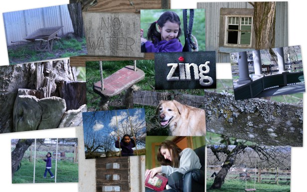 The Farm~Newberg, Oregon by G. Muncy