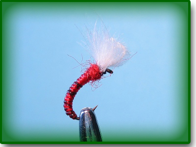 Red Emerger for Chironomid or Buzzer
