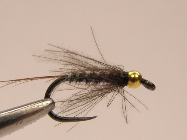 GHPTCDC Nymph