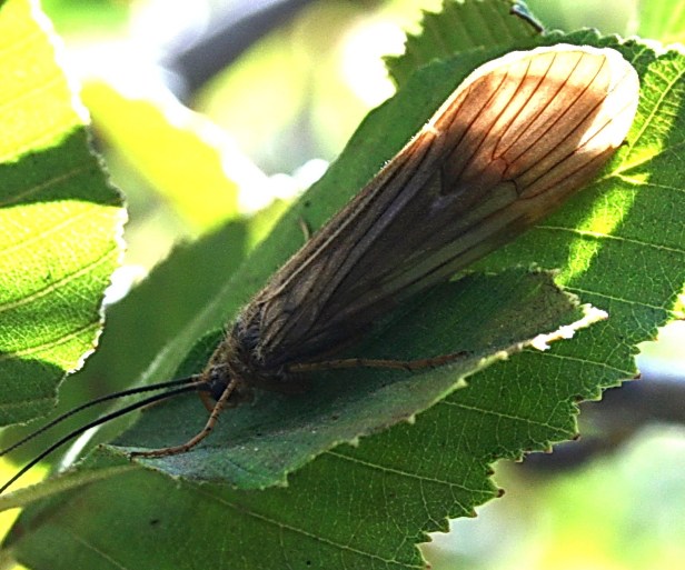 img_9166aaxxoc1 img_9166aaxxoc1