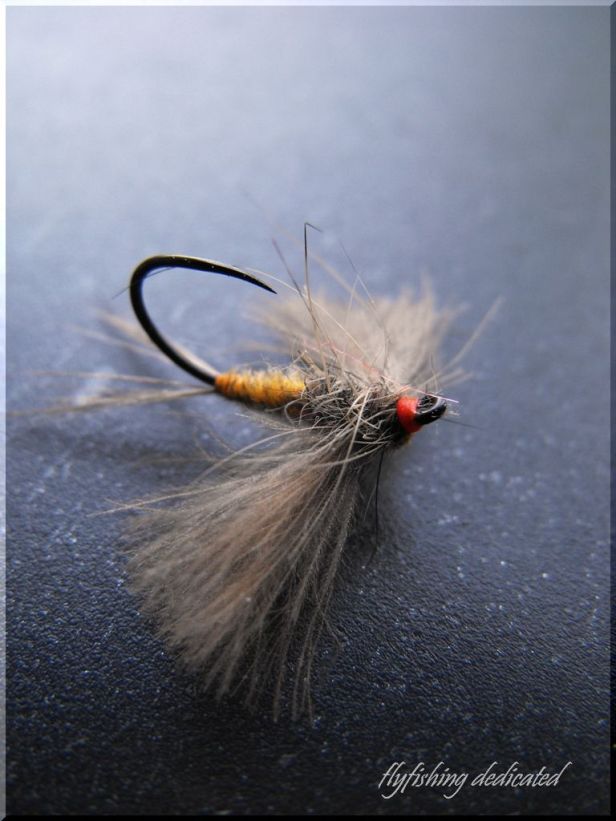 Dry Fly @ Zsolt Blogspot