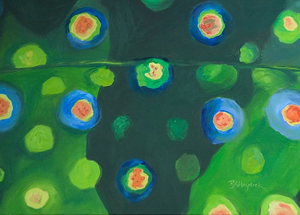 Jeremy's Run-Brookie by Rebecca Haydock