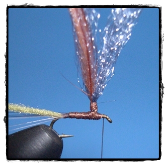 Traitor Midge Parachute by Anthony Naples