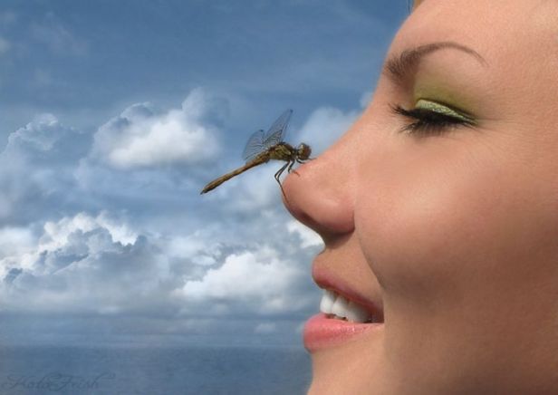 Not Seeing Much Beyond The Tip of Their Noses