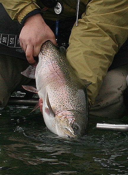 Good Bye & Thank You~Tony Muncy