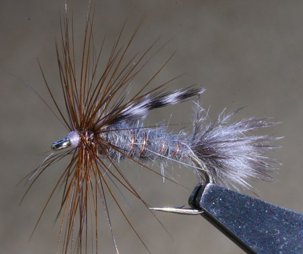 Timberline Emerger