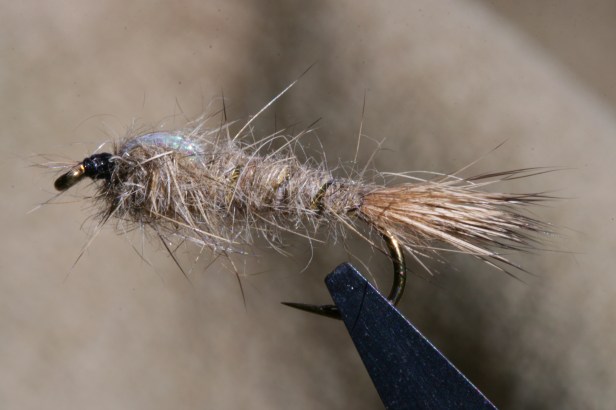 Traditional Hare's Ear w/ Mylar Wingcase~G. Muncy