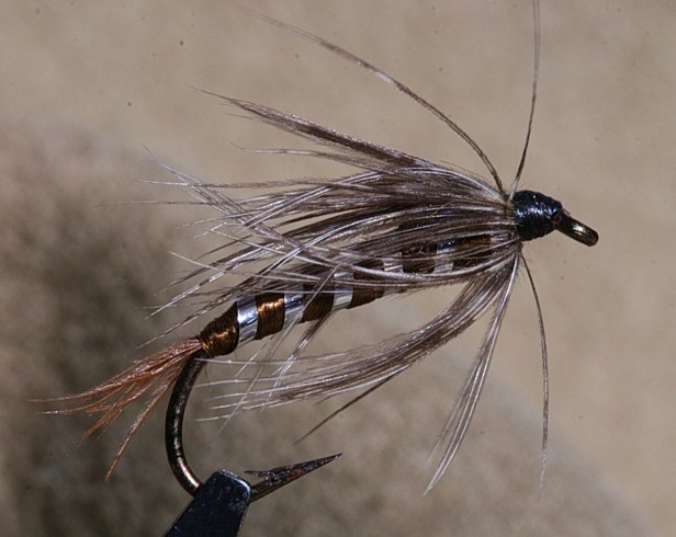 Brown Floss Wet~G. Muncy