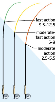 rod action rod action