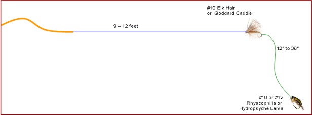 caddishydrorig-colorcoded Dry Fly w/ Dropper Fly