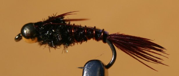 Pheasant Tail Nymph~SwittersB 
