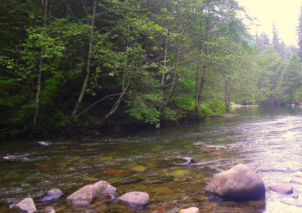 IMGP0935A Inviting Bend~SwittersB