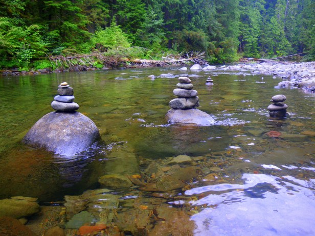 IMGP0942A SwittersB Found Signs of Life