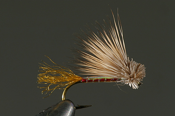 Opal X Caddis ~ Dennis Potter