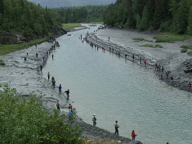 Cluster Feck fly fishing