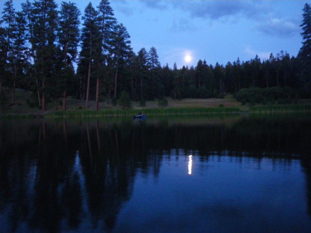 Tony's Last Light Version of Bliss~SwittersB