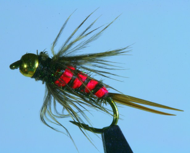 bloody mary fly bloody mary fly