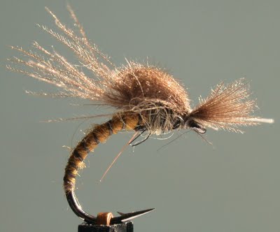 Midge Emerger by Dave Wiltshire