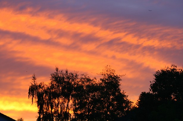 Red Sky Morning.......   (SwittersB)