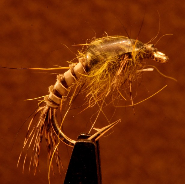 BWO Nymph (SwittersB)