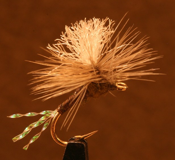 BWO Parachute (SwittersB)