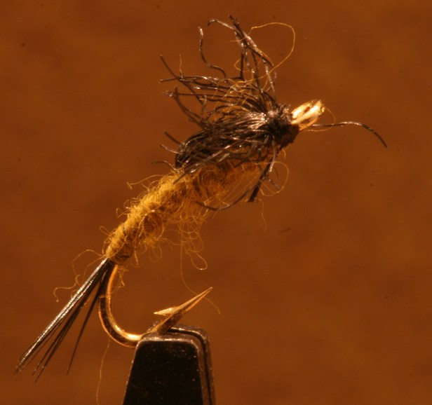 Whatever...Enough for Today