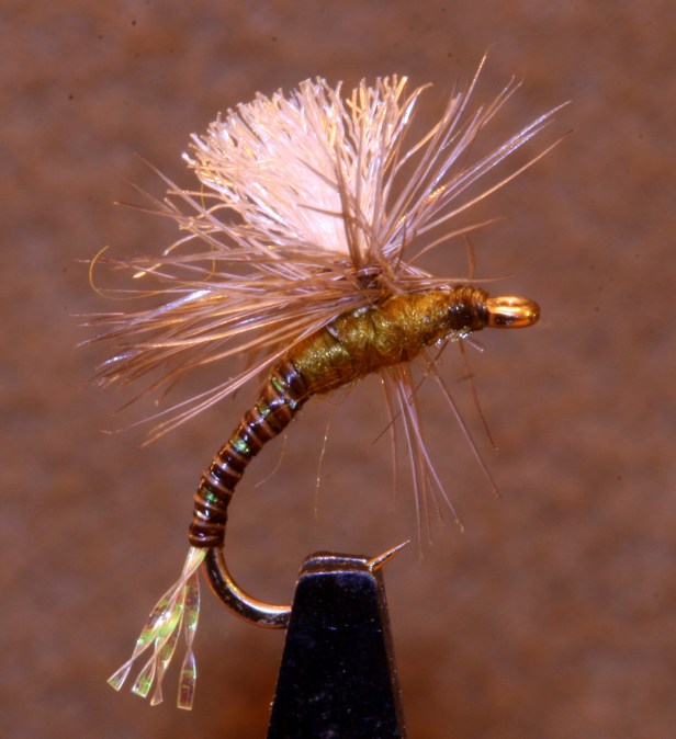 BWO Emerger w/ Quill Body (SwittersB)