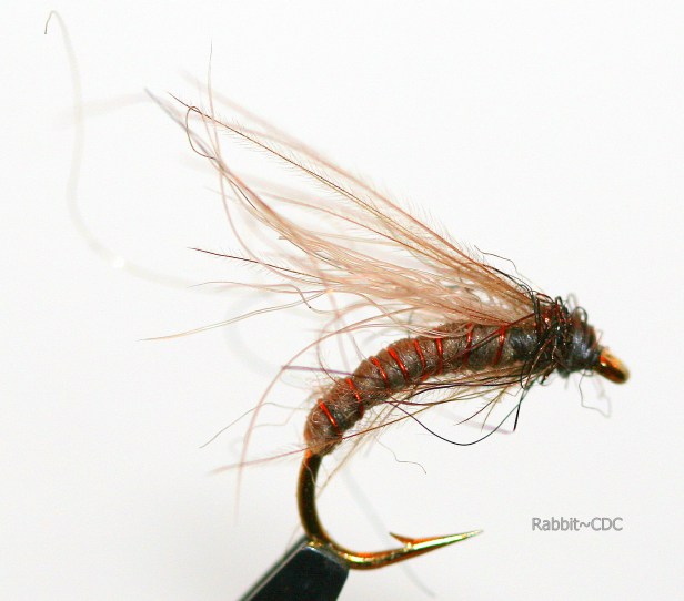 IMG_1462XX Wet Fly (Snowshoe & CDC) ~ SwittersB