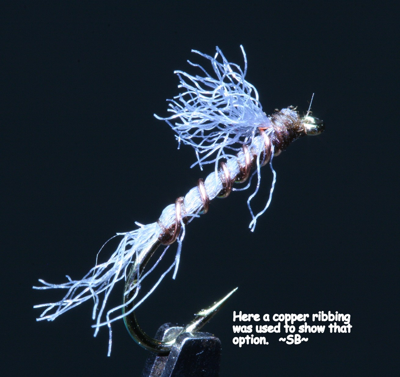 Lil’ Grey Nymph (So Simple You’ll Ignore It….Don’t) – SwittersB & Exploring