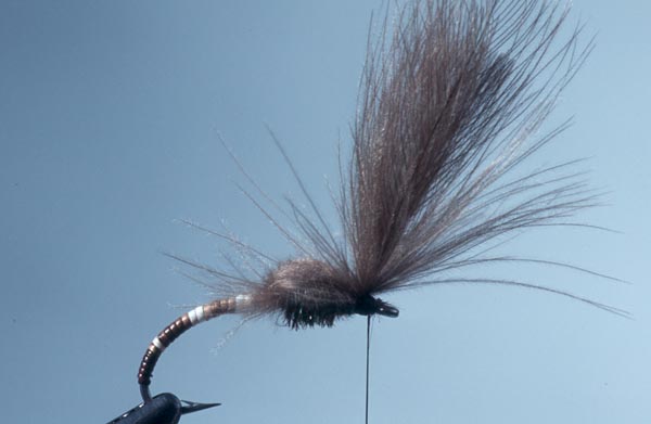 ffinternet.com (emerger)