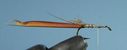 Biot Notch Up Ridged Body (Fly Anglers Online