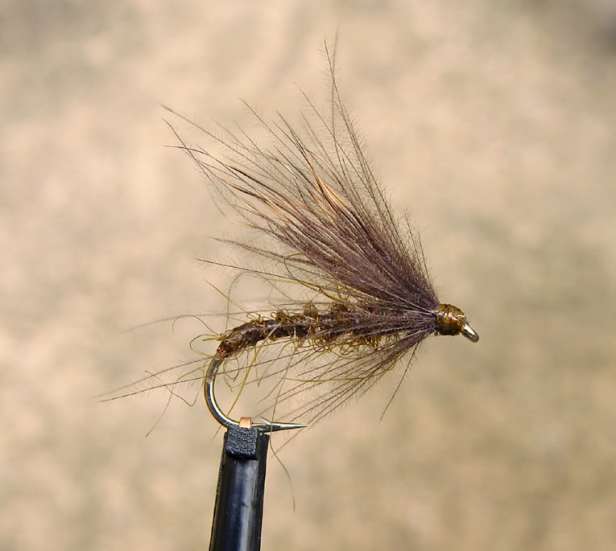 Better CDC Wing (Sooty Dry by Shardack)