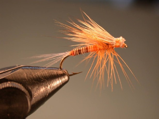 South Holston Sulfur HairWing Dun