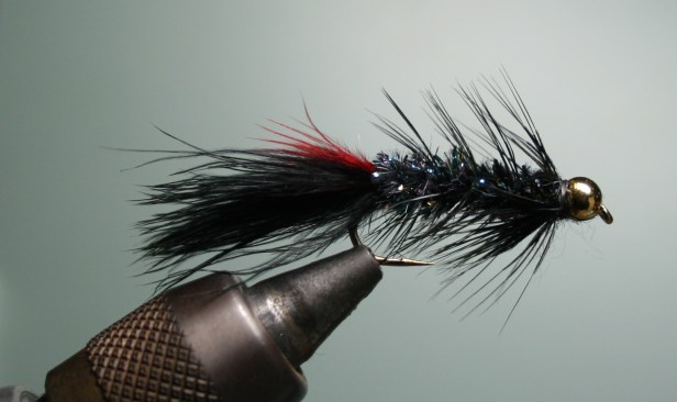 Little Fort Leech by SwittersB