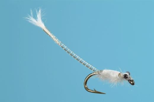 Stalcup Mysis Shrimp (Almont Anglers) 