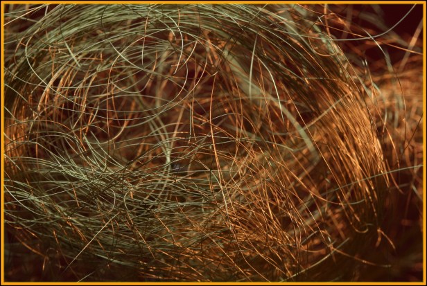 Fine Gold Craft Wire 2